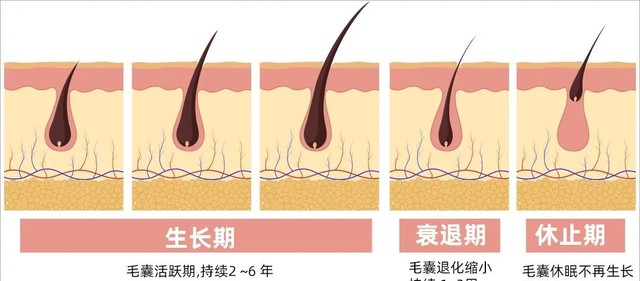 目前最好的防脱发产品是什么（防脱头皮精华对比图）