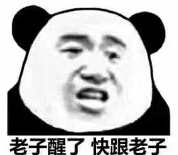 2022爆笑表情包有哪些（超逗超搞笑熊猫头表情包分享）