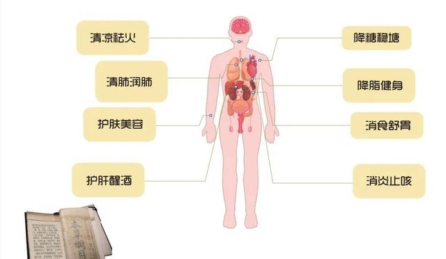 胡柚的功效与作用是什么（常山胡柚八大功效介绍）