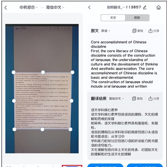 英语单词翻译软件有哪些（不容错过的好用的英语翻译app）