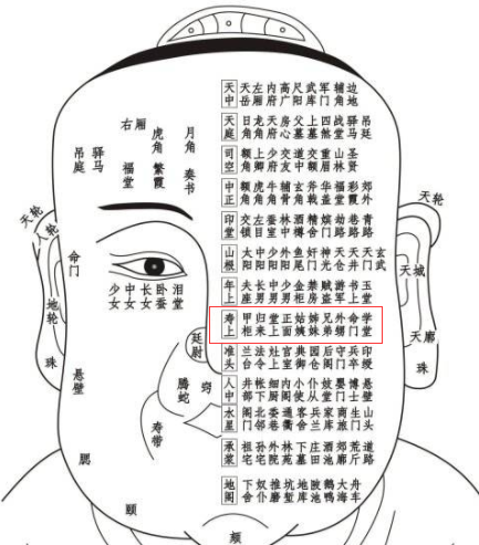 脸部各个部位名称叫什么（关于面部一百二十部位详解）