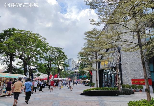 适合10岁孩子旅游的地方有哪些（强力推荐遛娃的最佳去处）