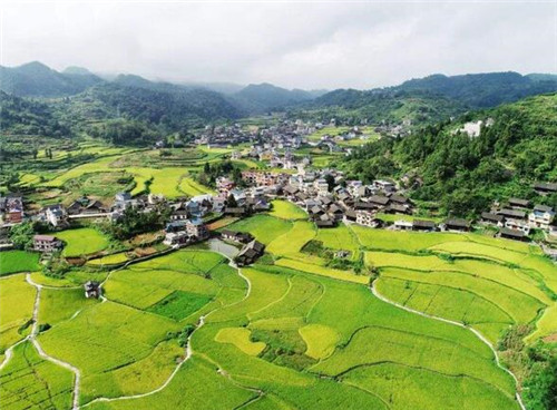 集体土地和国有土地的区别有哪些