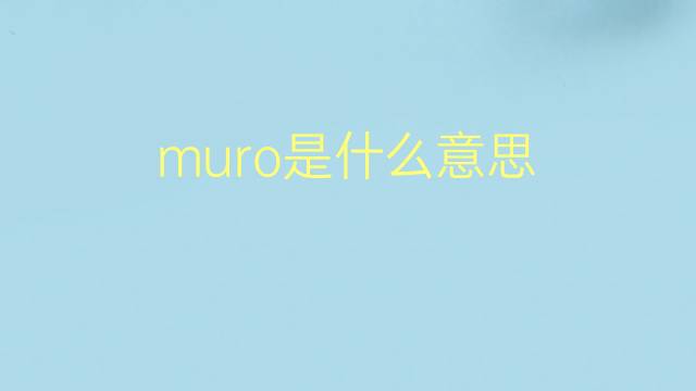 muro是什么意思 muro的翻译、读音、例句、中文解释