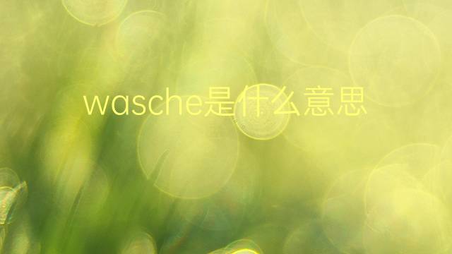 wasche是什么意思 wasche的翻译、读音、例句、中文解释