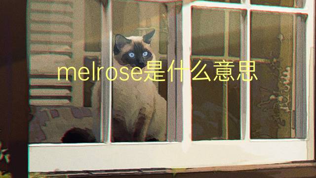 melrose是什么意思 melrose的翻译、读音、例句、中文解释