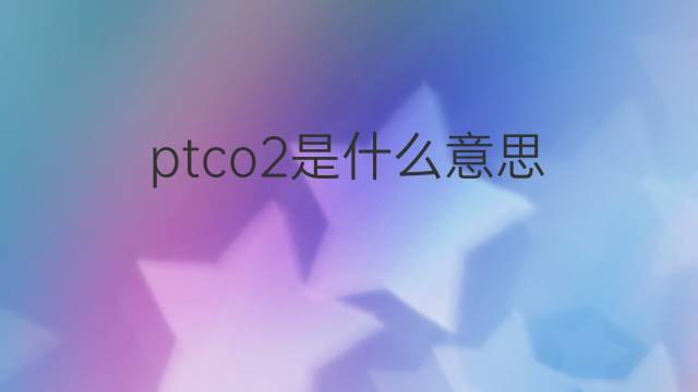 ptco2是什么意思 ptco2的翻译、读音、例句、中文解释