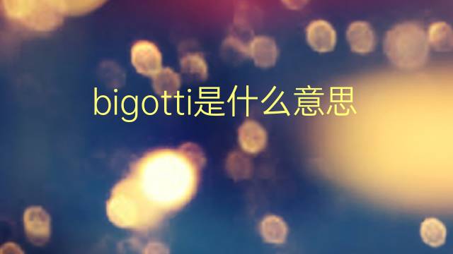 bigotti是什么意思 bigotti的翻译、读音、例句、中文解释