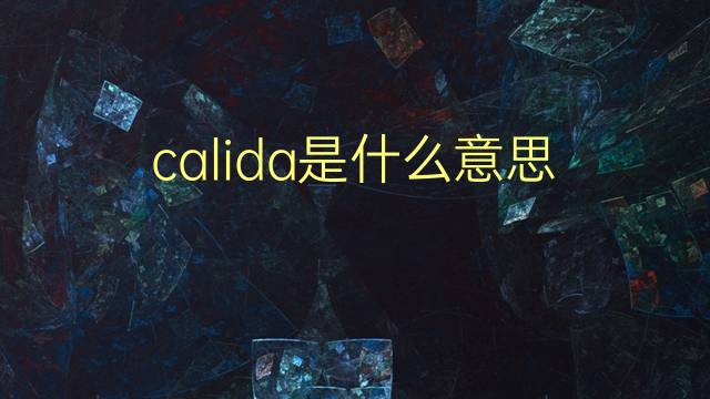 calida是什么意思 calida的翻译、读音、例句、中文解释