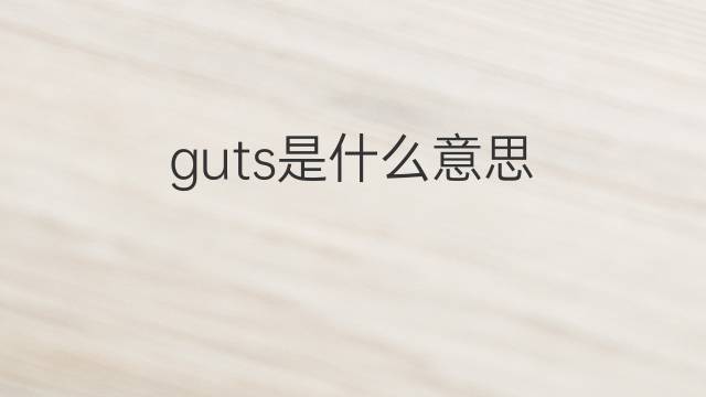 guts是什么意思 guts的翻译、读音、例句、中文解释