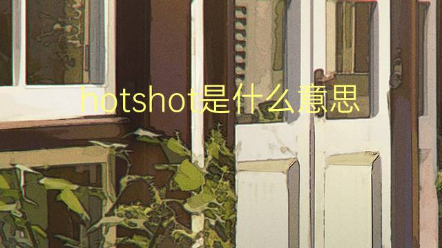 hotshot是什么意思 hotshot的翻译、读音、例句、中文解释