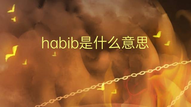 habib是什么意思 habib的翻译、读音、例句、中文解释