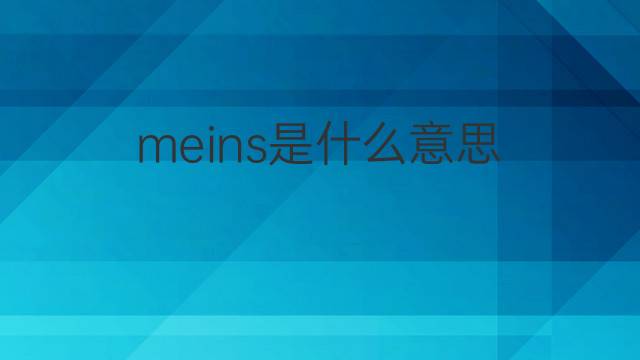 meins是什么意思 meins的翻译、读音、例句、中文解释