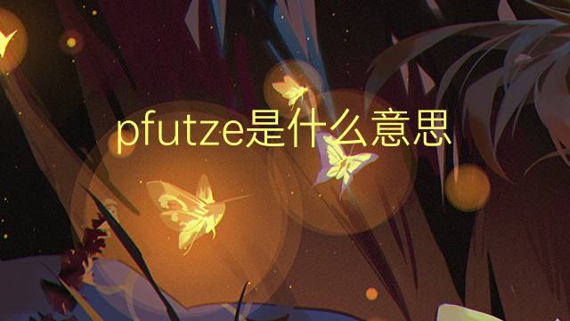 pfutze是什么意思 pfutze的翻译、读音、例句、中文解释