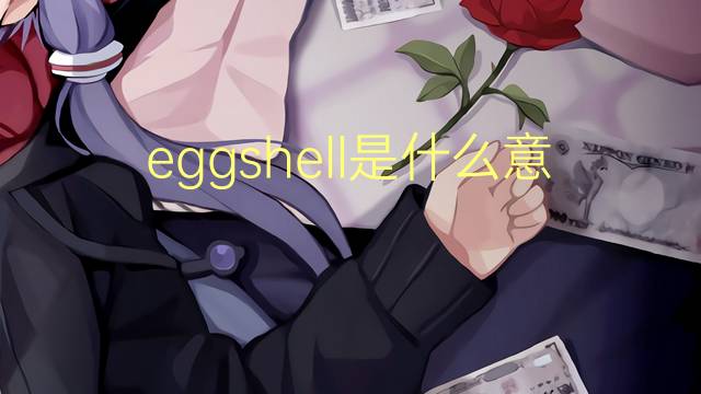 eggshell是什么意思 eggshell的翻译、读音、例句、中文解释