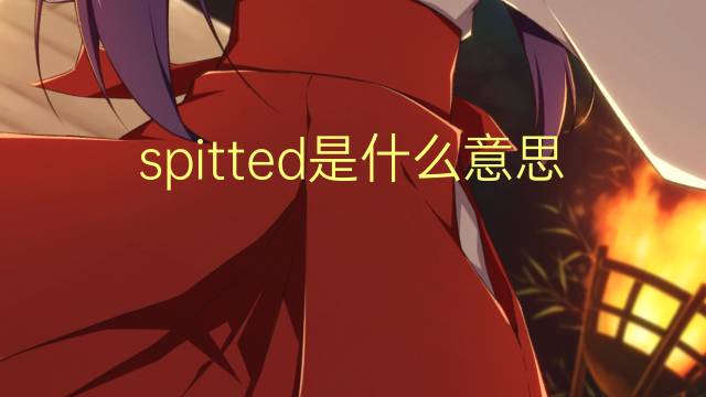 spitted是什么意思 spitted的翻译、读音、例句、中文解释