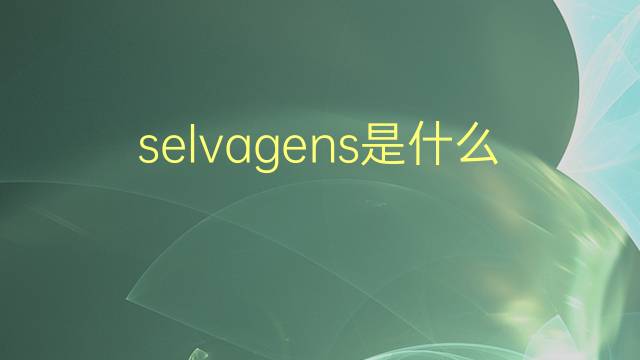 selvagens是什么意思 selvagens的翻译、读音、例句、中文解释