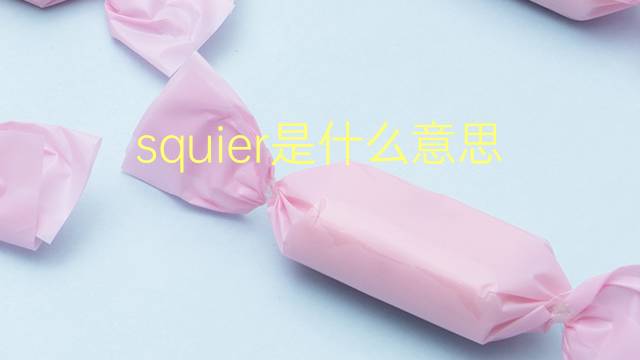 squier是什么意思 英文名squier的翻译、发音、来源