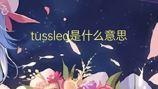 tussled是什么意思 tussled的翻译、读音、例句、中文解释