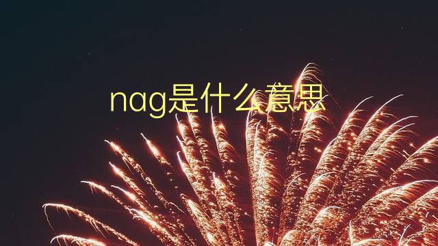 nag是什么意思 nag的翻译、读音、例句、中文解释