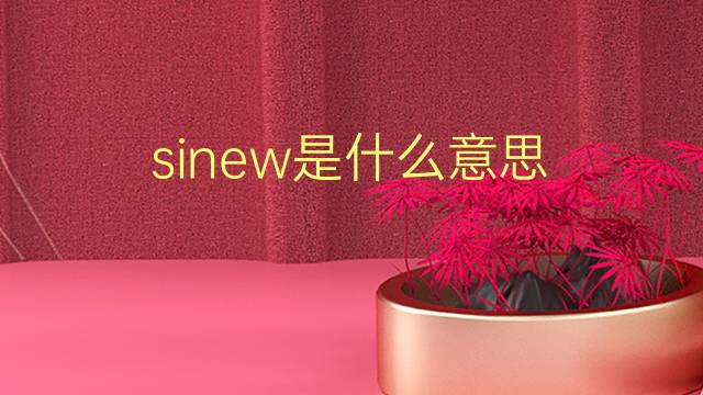 sinew是什么意思 sinew的翻译、读音、例句、中文解释