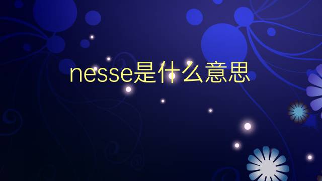 nesse是什么意思 nesse的翻译、读音、例句、中文解释