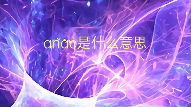 anao是什么意思 anao的翻译、读音、例句、中文解释