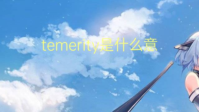 temerity是什么意思 temerity的翻译、读音、例句、中文解释