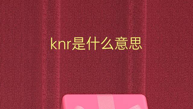 knr是什么意思 knr的翻译、读音、例句、中文解释