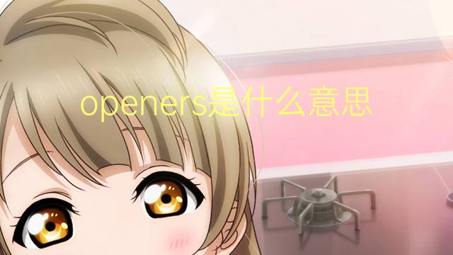 openers是什么意思 openers的翻译、读音、例句、中文解释