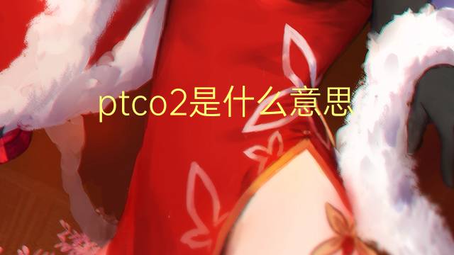 ptco2是什么意思 ptco2的翻译、读音、例句、中文解释