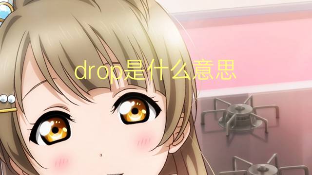 drop是什么意思 drop的翻译、读音、例句、中文解释