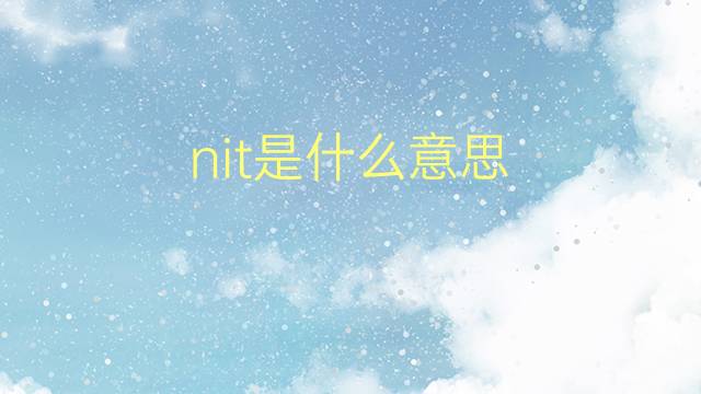 nit是什么意思 nit的翻译、读音、例句、中文解释