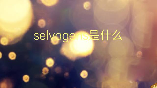 selvagens是什么意思 selvagens的翻译、读音、例句、中文解释