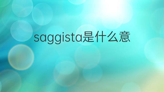 saggista是什么意思 saggista的翻译、读音、例句、中文解释