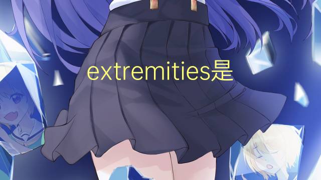 extremities是什么意思 extremities的翻译、读音、例句、中文解释