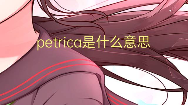 petrica是什么意思 petrica的翻译、读音、例句、中文解释