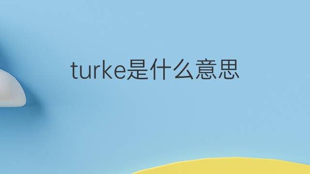 turke是什么意思 turke的翻译、读音、例句、中文解释