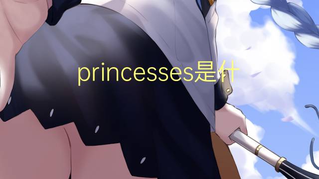 princesses是什么意思 princesses的翻译、读音、例句、中文解释