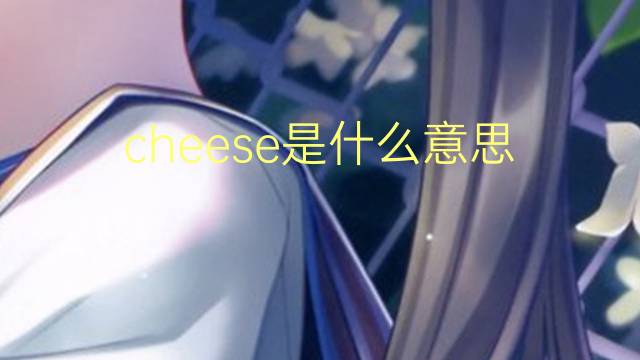 cheese是什么意思 cheese的翻译、读音、例句、中文解释