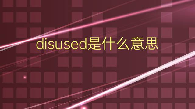 disused是什么意思 disused的翻译、读音、例句、中文解释