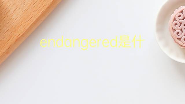 enered是什么意思 enered的翻译、读音、例句、中文解释