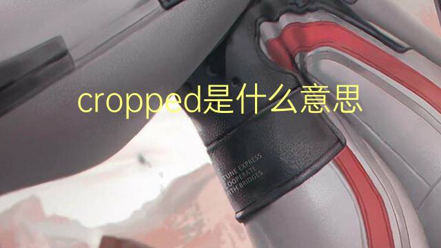 cropped是什么意思 cropped的翻译、读音、例句、中文解释