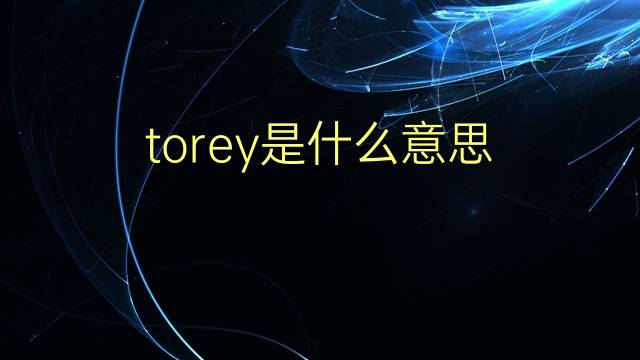 torey是什么意思 英文名torey的翻译、发音、来源