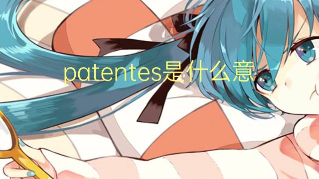 patentes是什么意思 patentes的翻译、读音、例句、中文解释