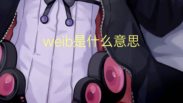 weib是什么意思 weib的翻译、读音、例句、中文解释