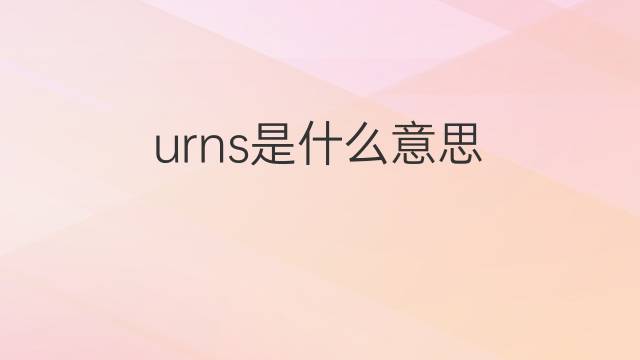 urns是什么意思 urns的翻译、读音、例句、中文解释