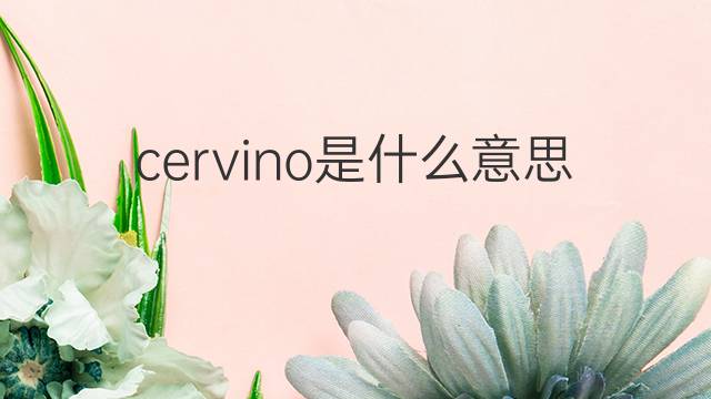 cervino是什么意思 cervino的翻译、读音、例句、中文解释