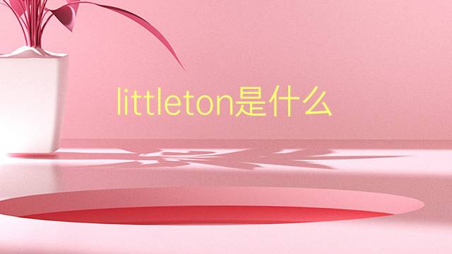 littleton是什么意思 littleton的翻译、读音、例句、中文解释