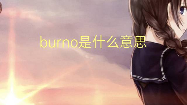 burno是什么意思 英文名burno的翻译、发音、来源